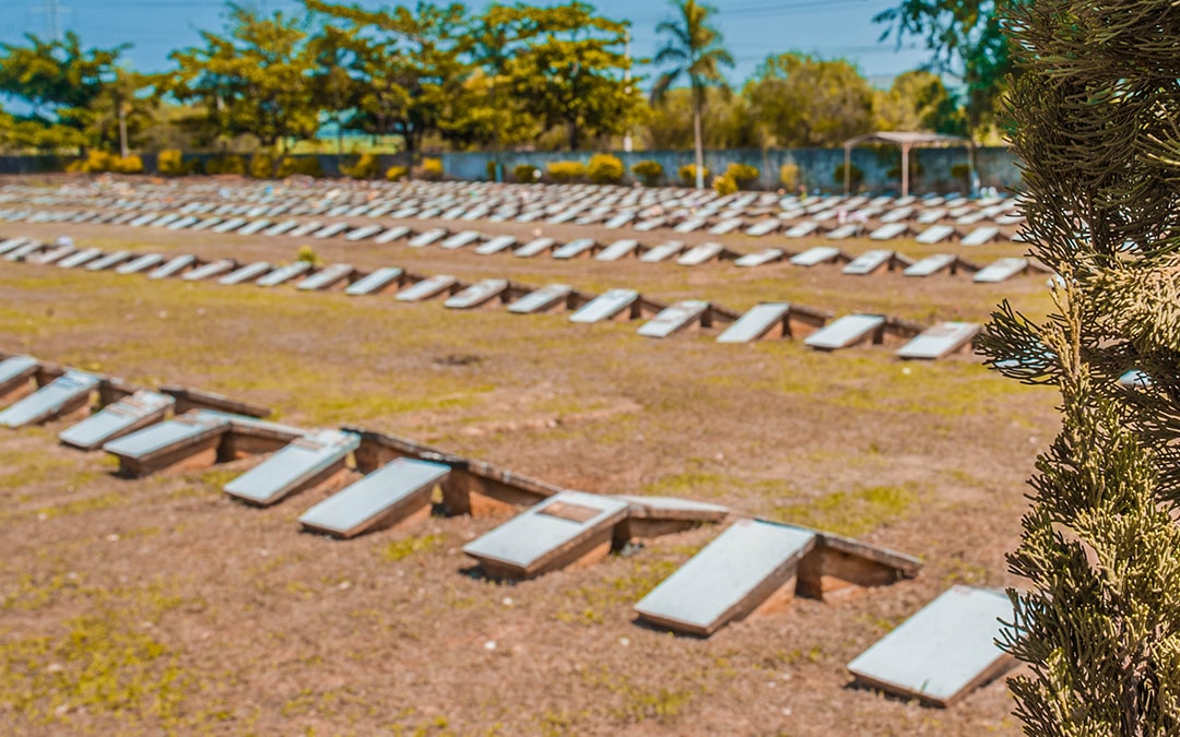 Blog Archives Cemitério Parque Dos Lírios Em Santa Bárbara Doeste 